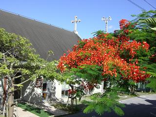 小禄聖マタイ教会